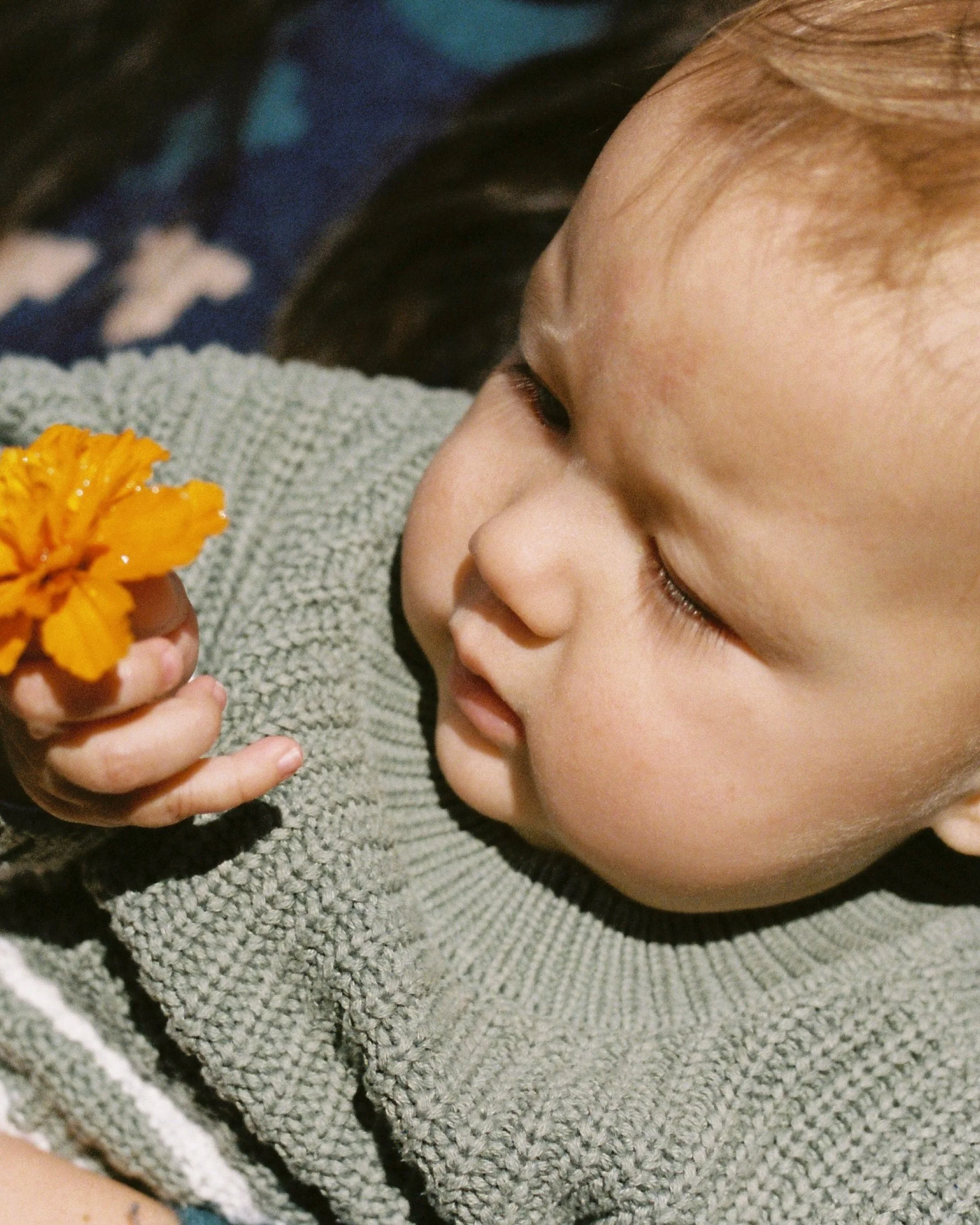 mix of film + digital for Rachel, Jesse and baby Finn 💛🎞️ Which one is your favourite?