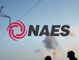 NAES logo.jpg