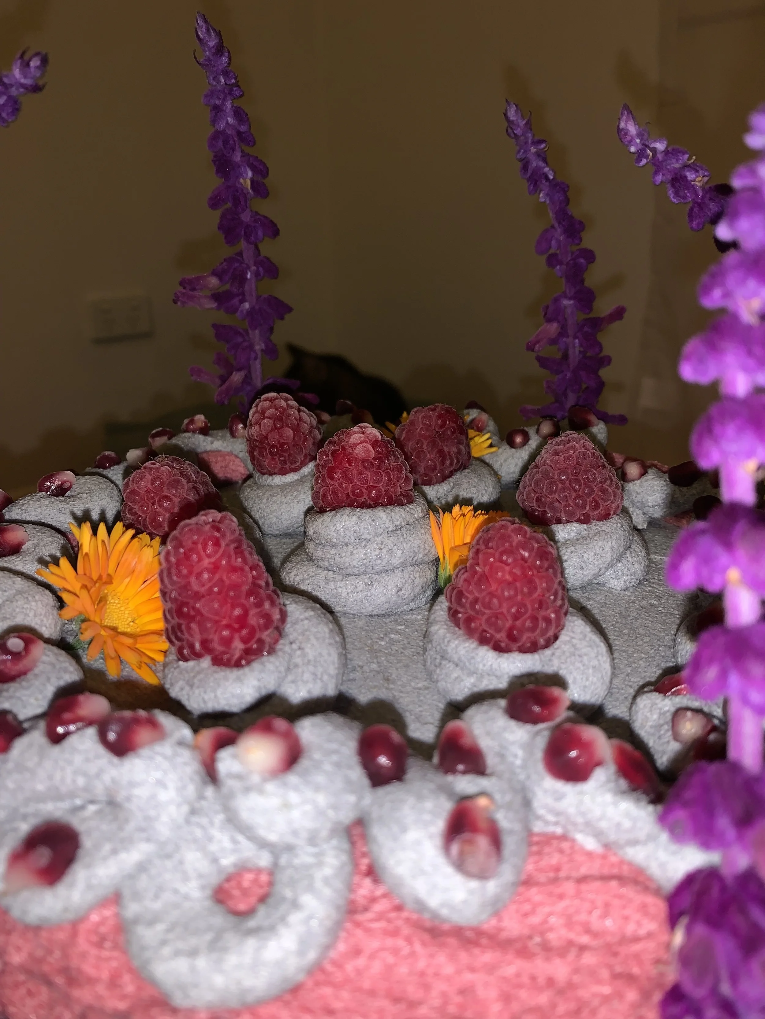 IMG_4236.jpeg
