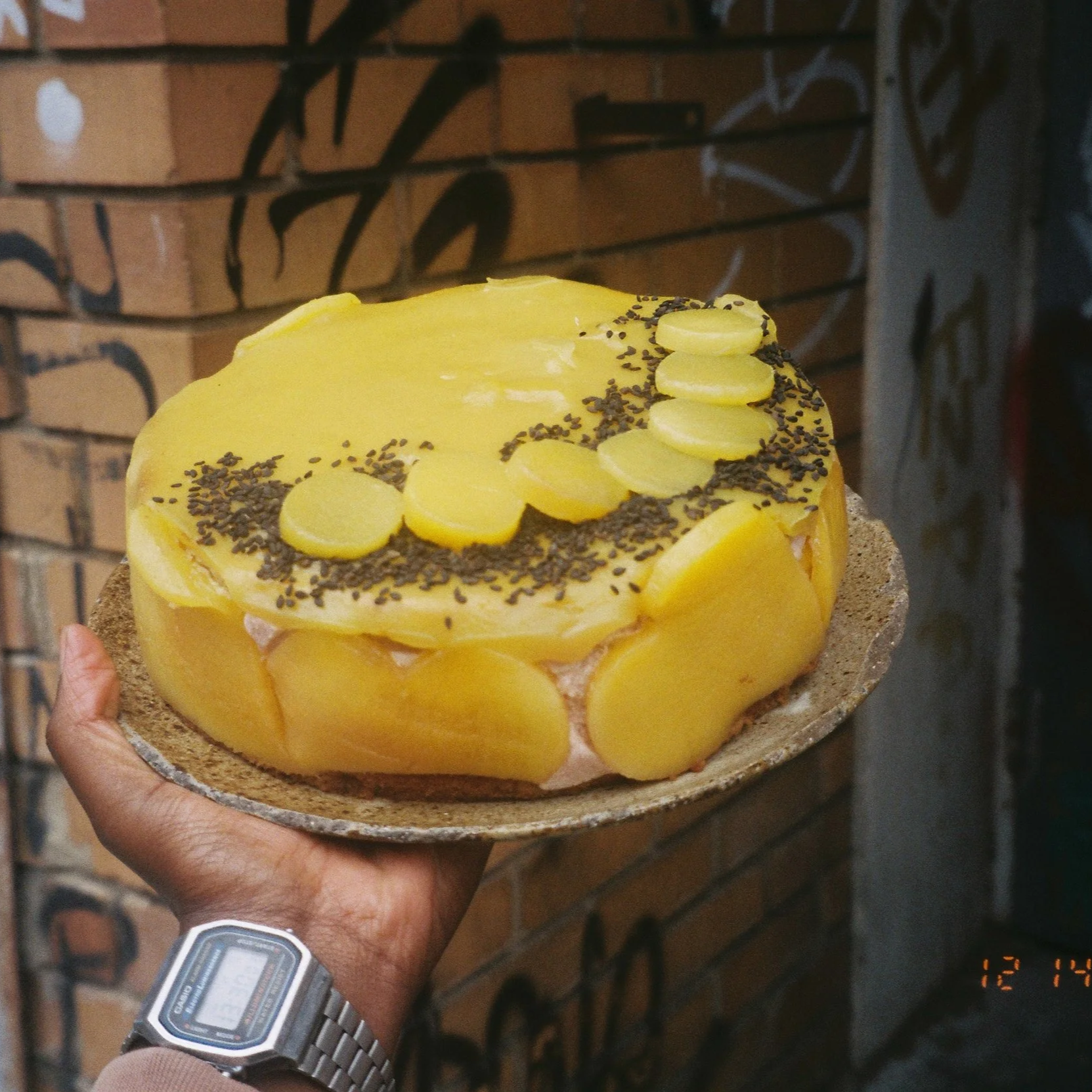 IMG_7207.png