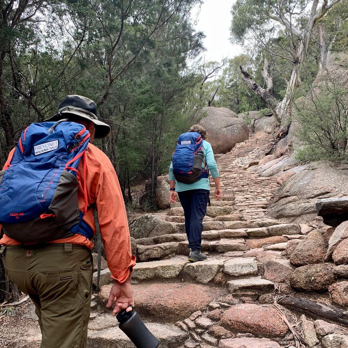 How fit do I need to be to do the Freycinet Walking Tour you ask? 
A moderate level of fitness is required for our tour. You will need to be comfortable walking approximately 10km with a lightweight daypack along well marked trails, rocky stairs and