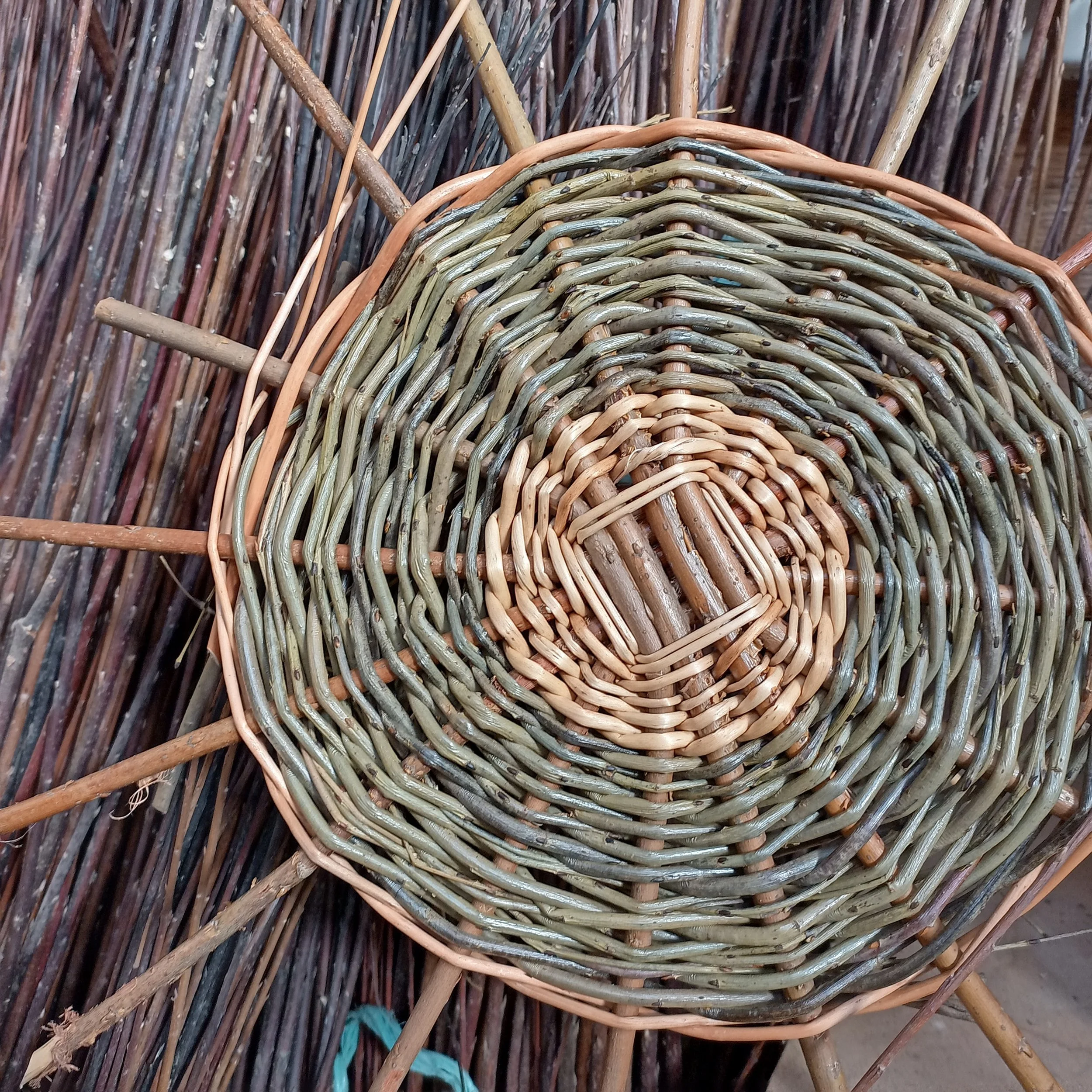 Tanya Doty New Zealand Basket Maker Willow base