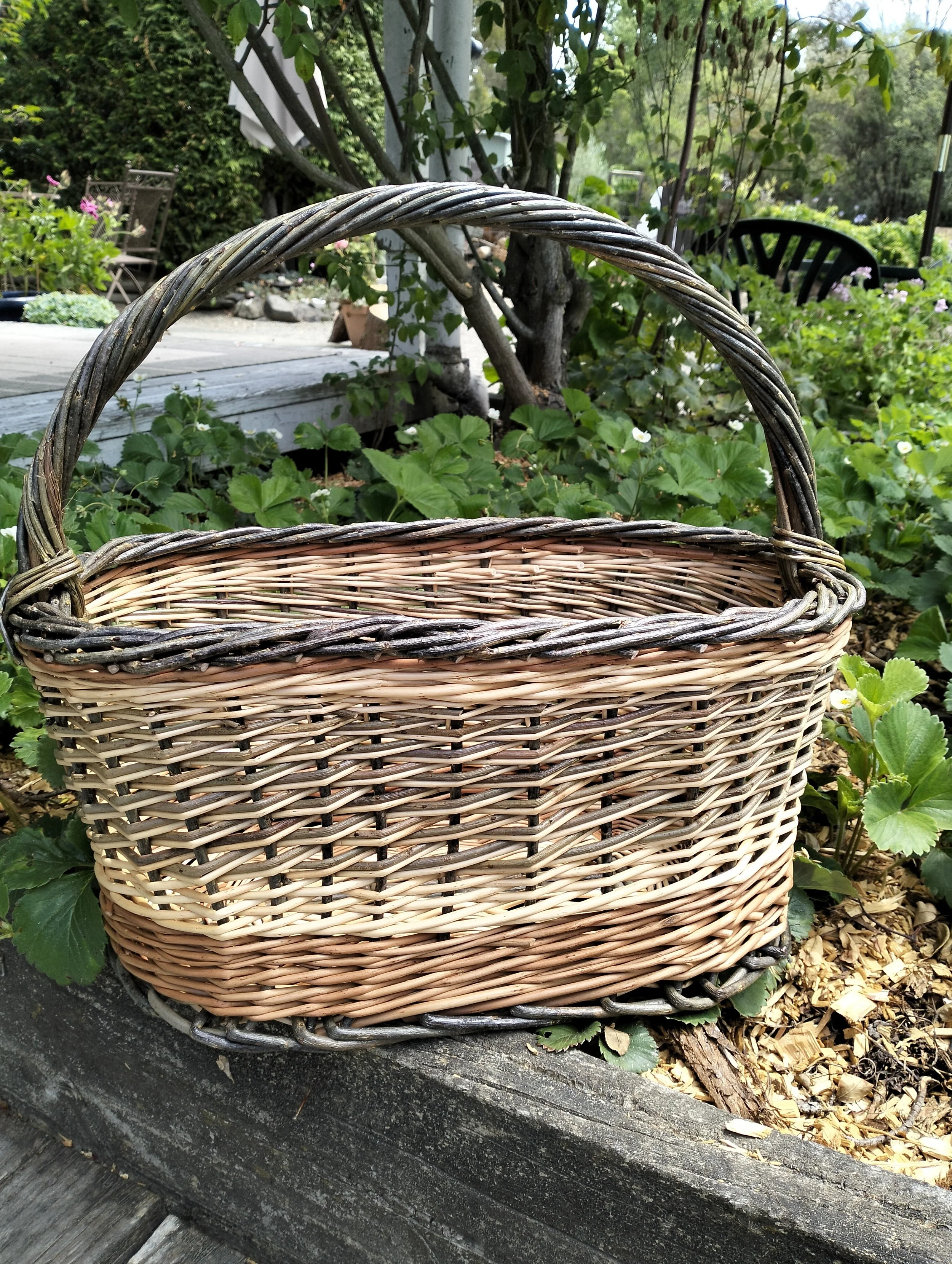 GoEverywhere  Willow Basket made by New Zealand basket maker Tanya Doty