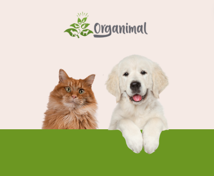 Organimal: Structureel winnen en internationale uitbreiding