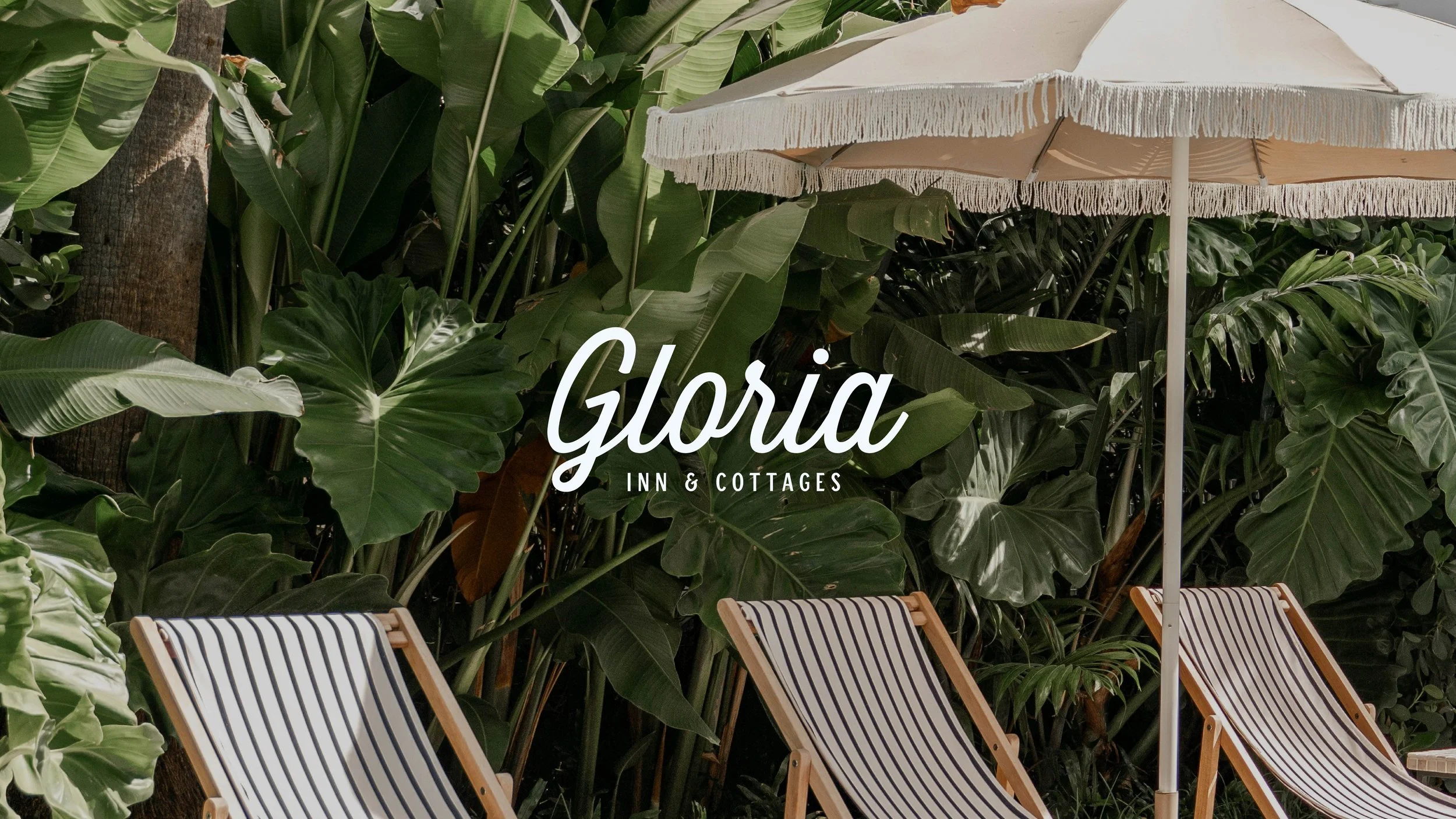 Primary logo - for website 1.jpg