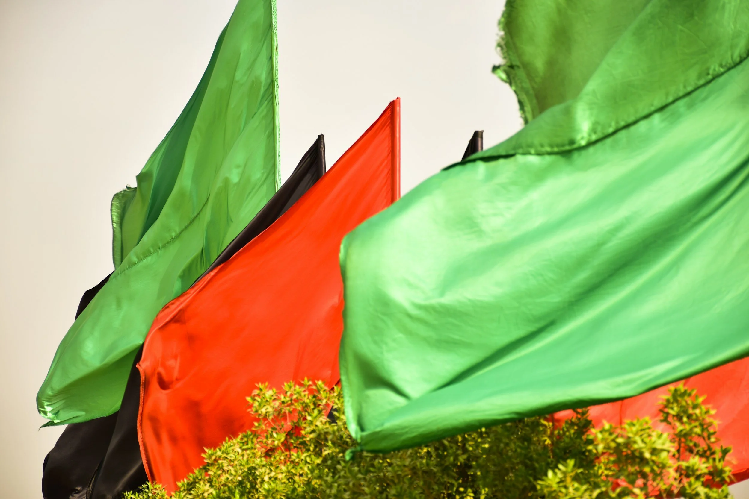 Red and Green Flags in Writing Discourse