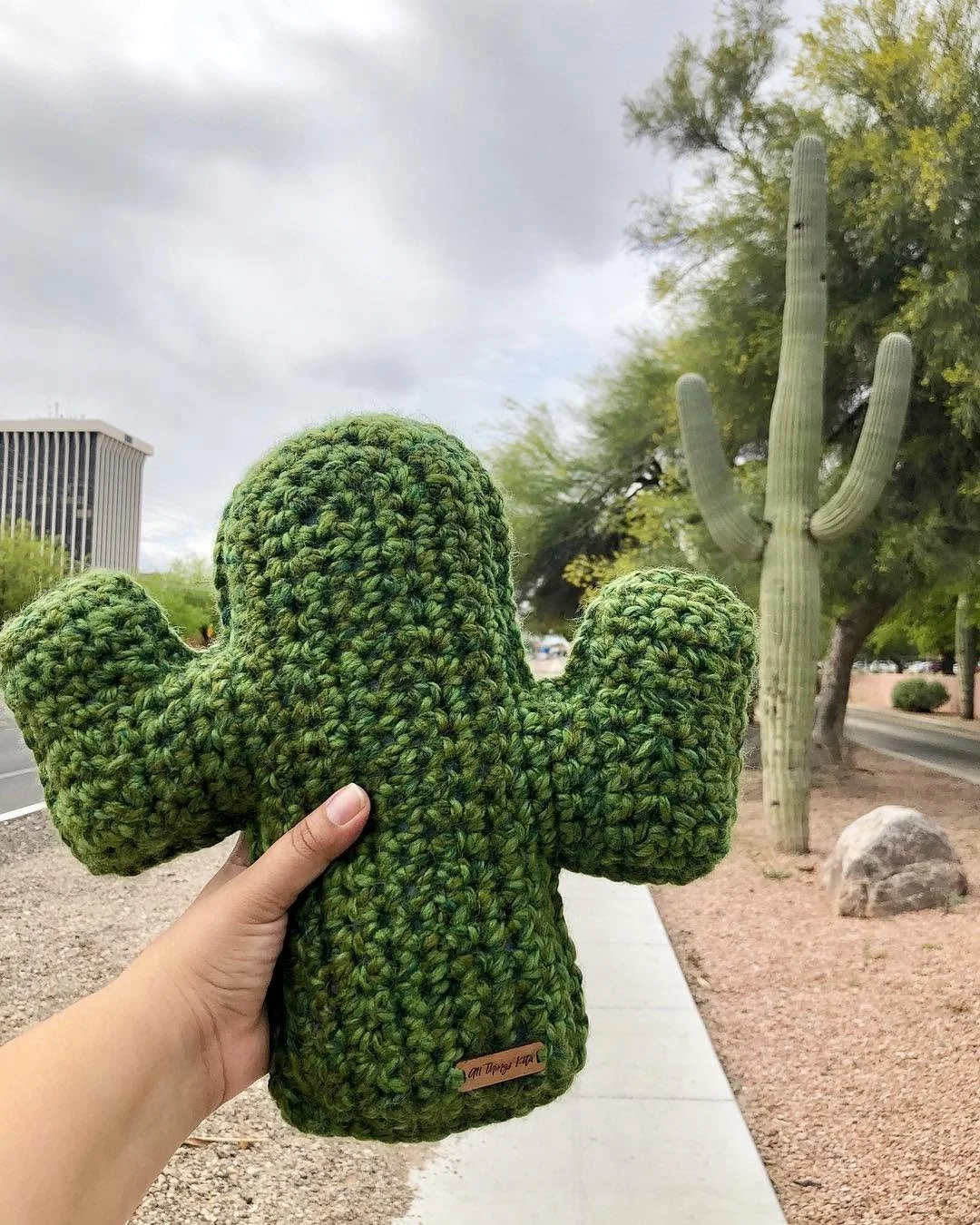 last spearmnt cactus pillow.jpg