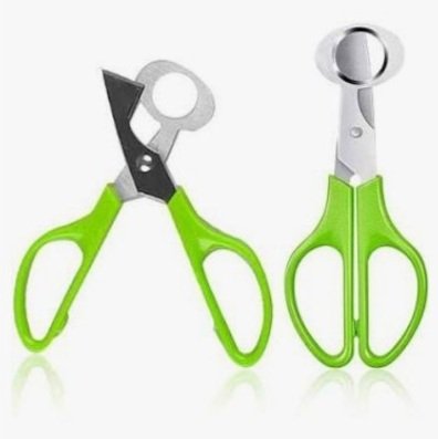 Quail+Scissors+-+01+.jpg