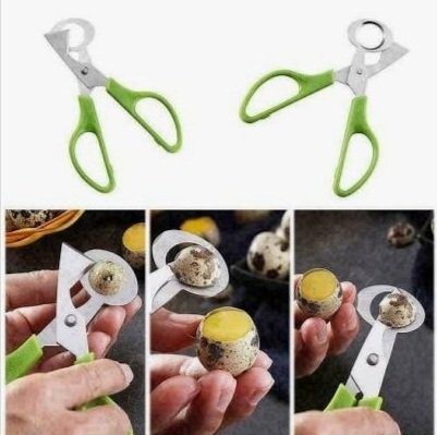 Quail+Scissors+-+02.jpg