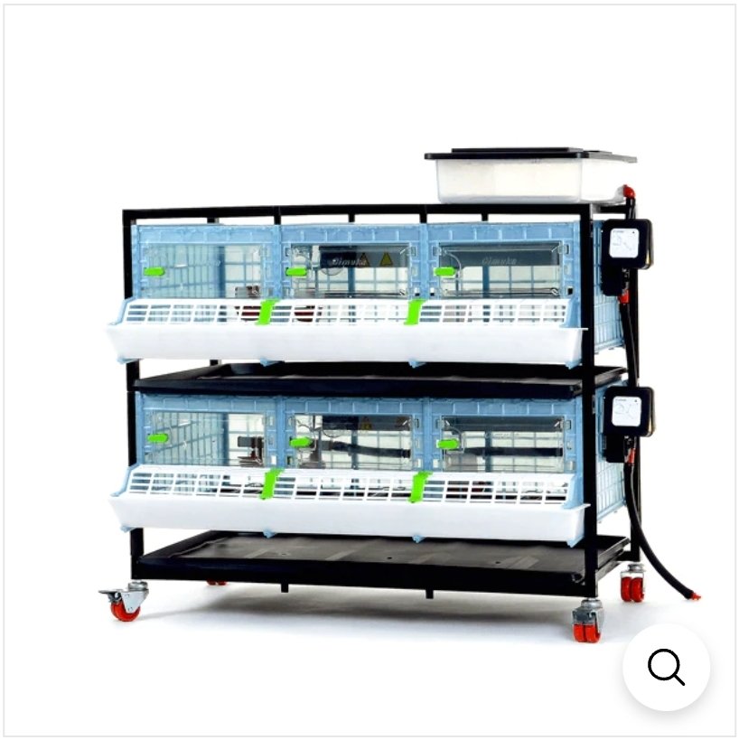 Quail Brooder (9.5in) - 01 .jpg