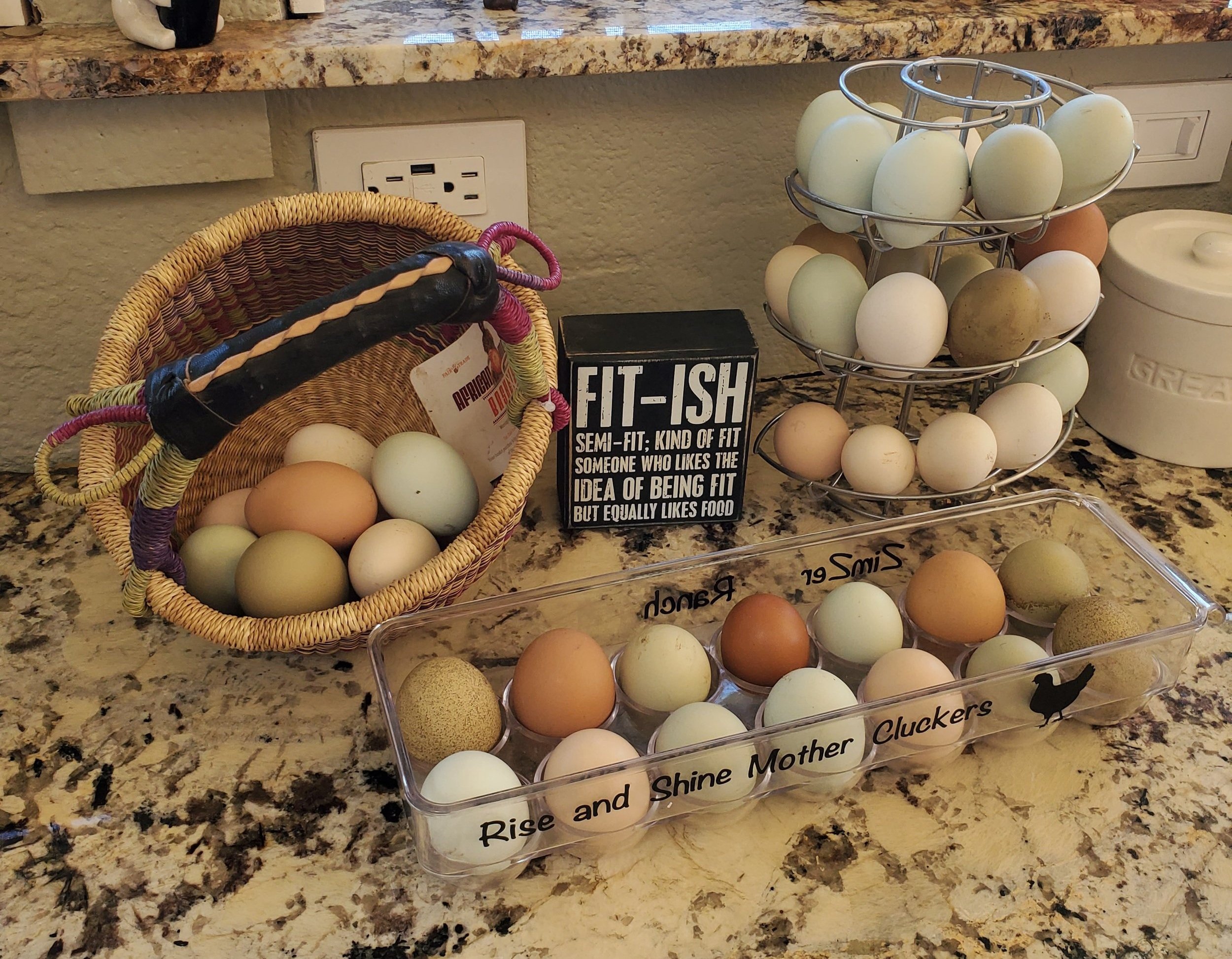 Chicken+eggs+-+05.jpg