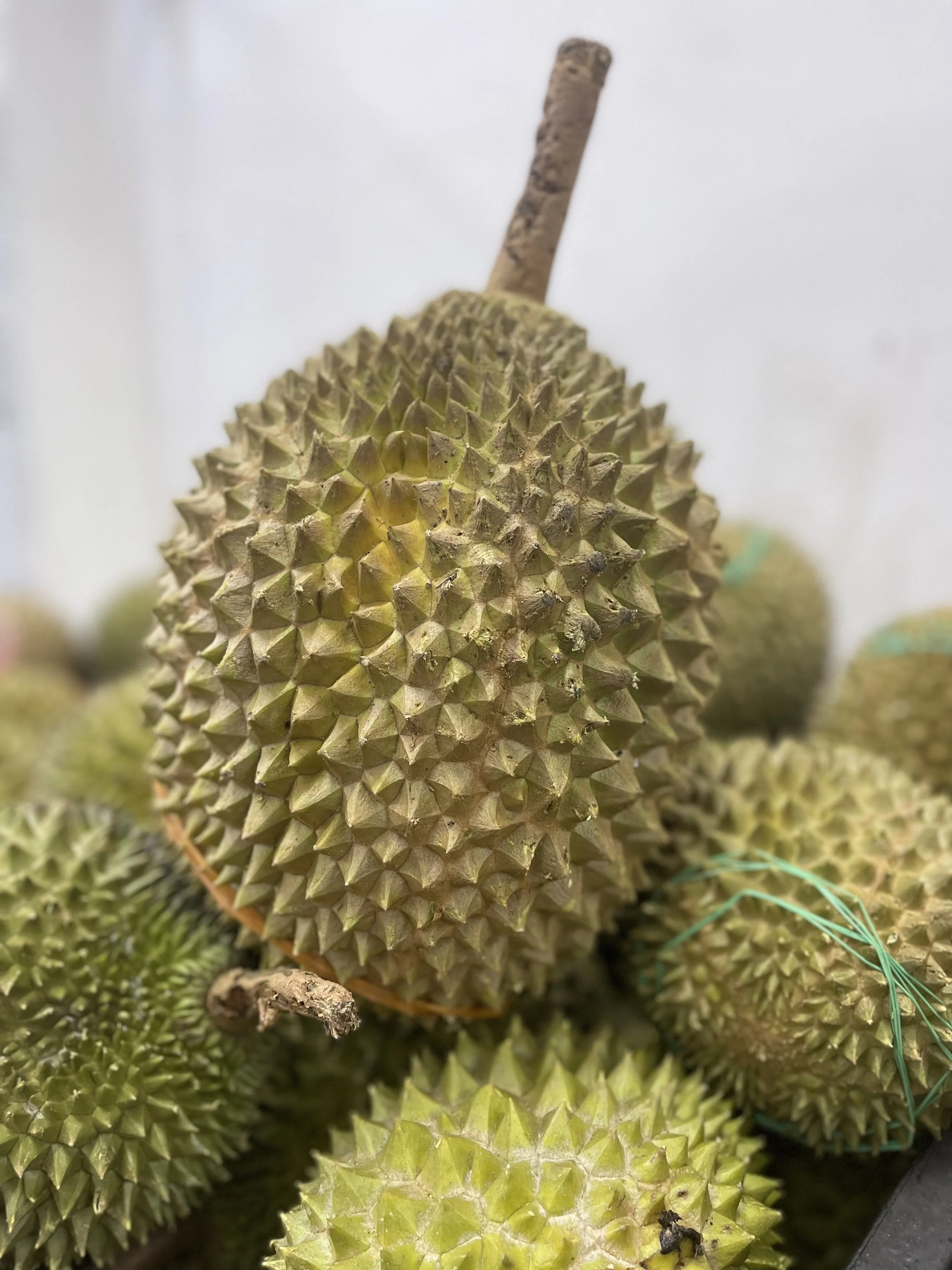 Why Jiak Durian Mai Is Singapore’s #1 Choice for Premium Durians