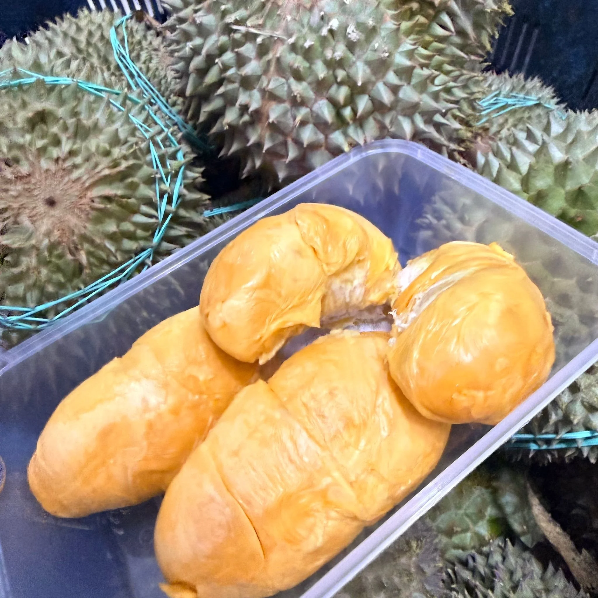 Blackthorn Durian: The Rare Malaysian Gem Every Durian Lover Must Try