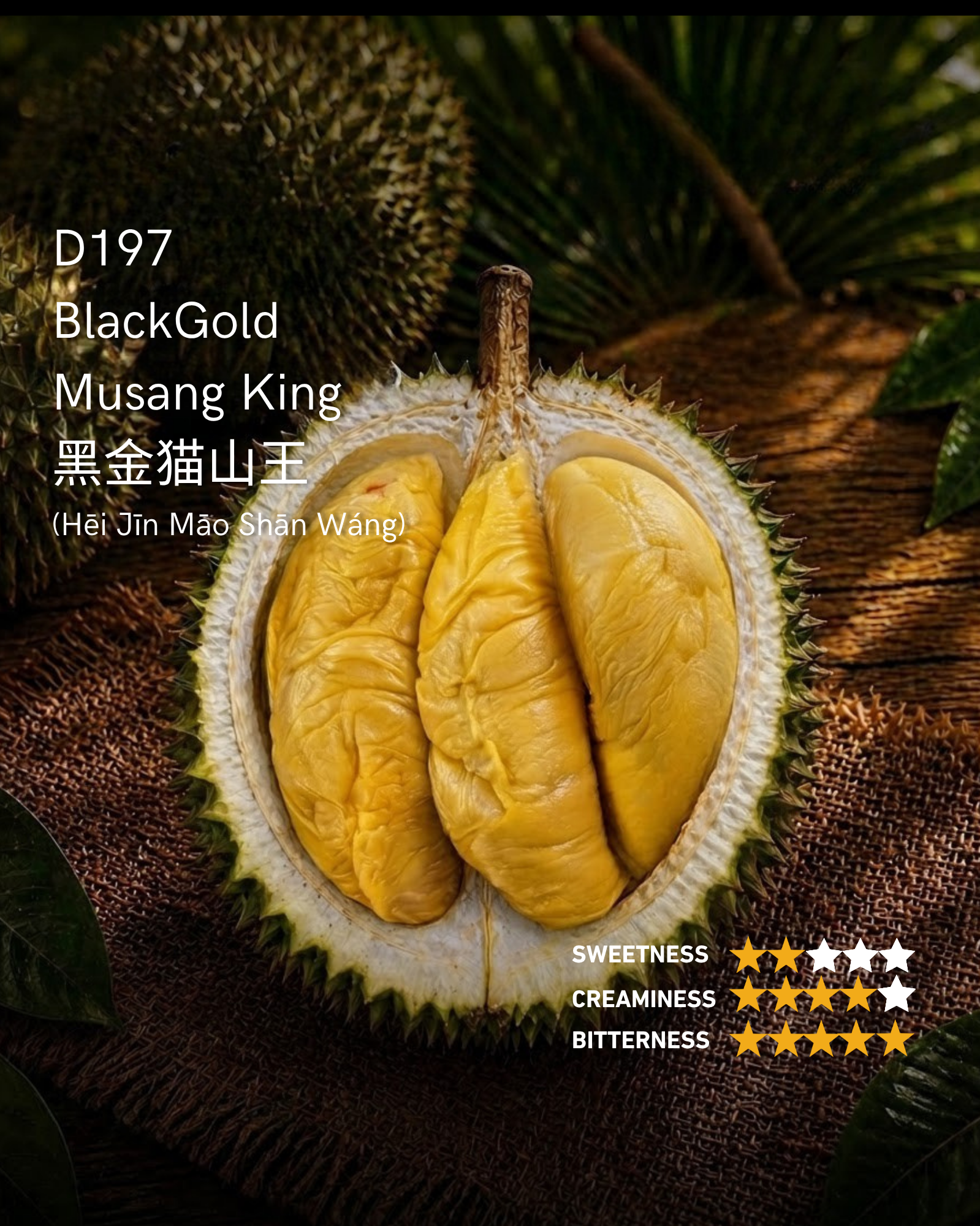 Blackgold Mao Shan Wang (MSW) / Premium D197 Musang King