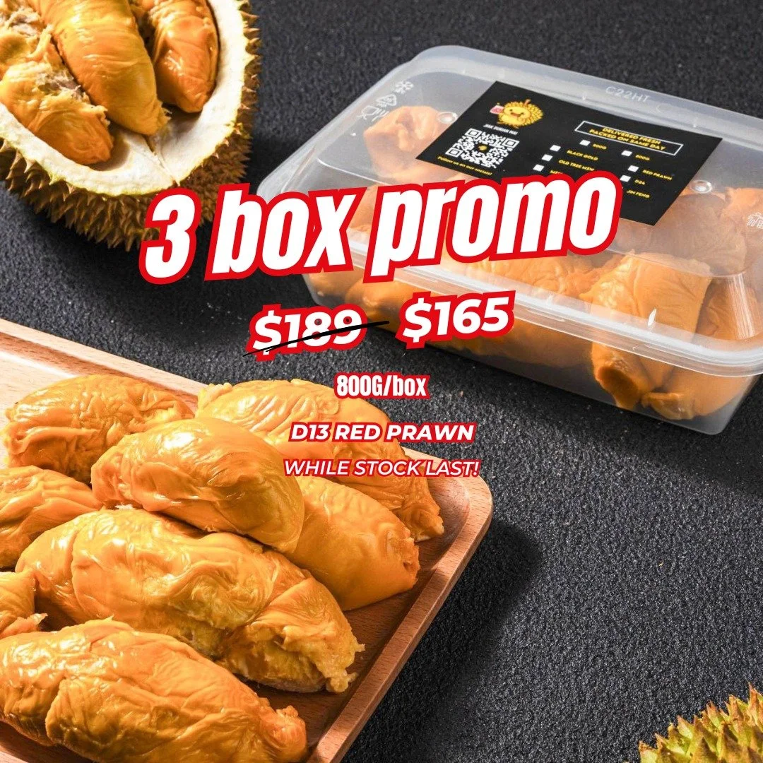 Season Special Premium D13 Red Prawn/Udang Merah Bundle