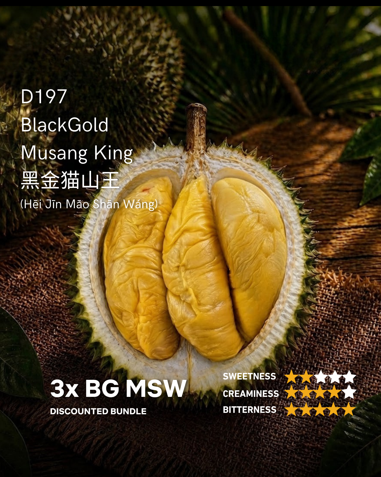 LED MENU (21).png