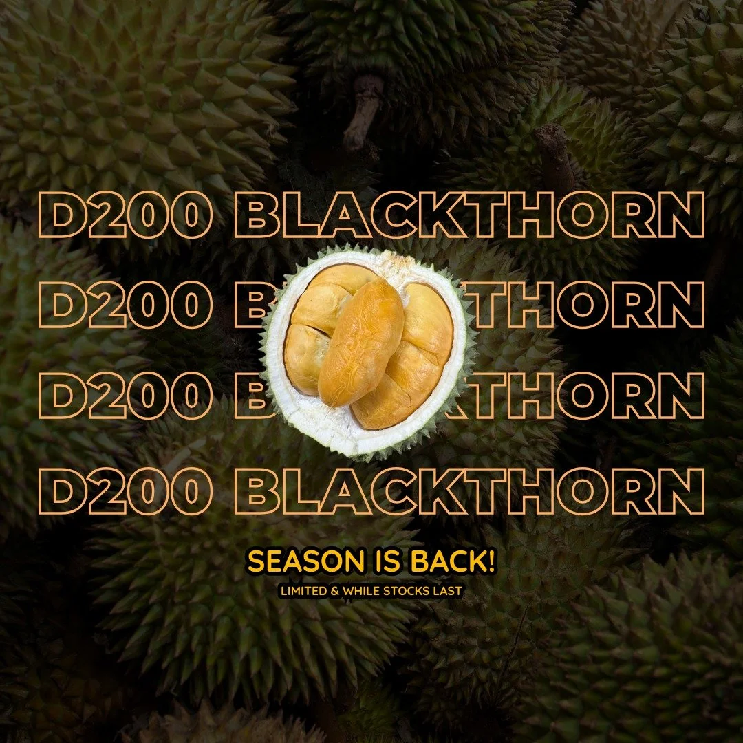 D200 BLACKTHORN.jpg