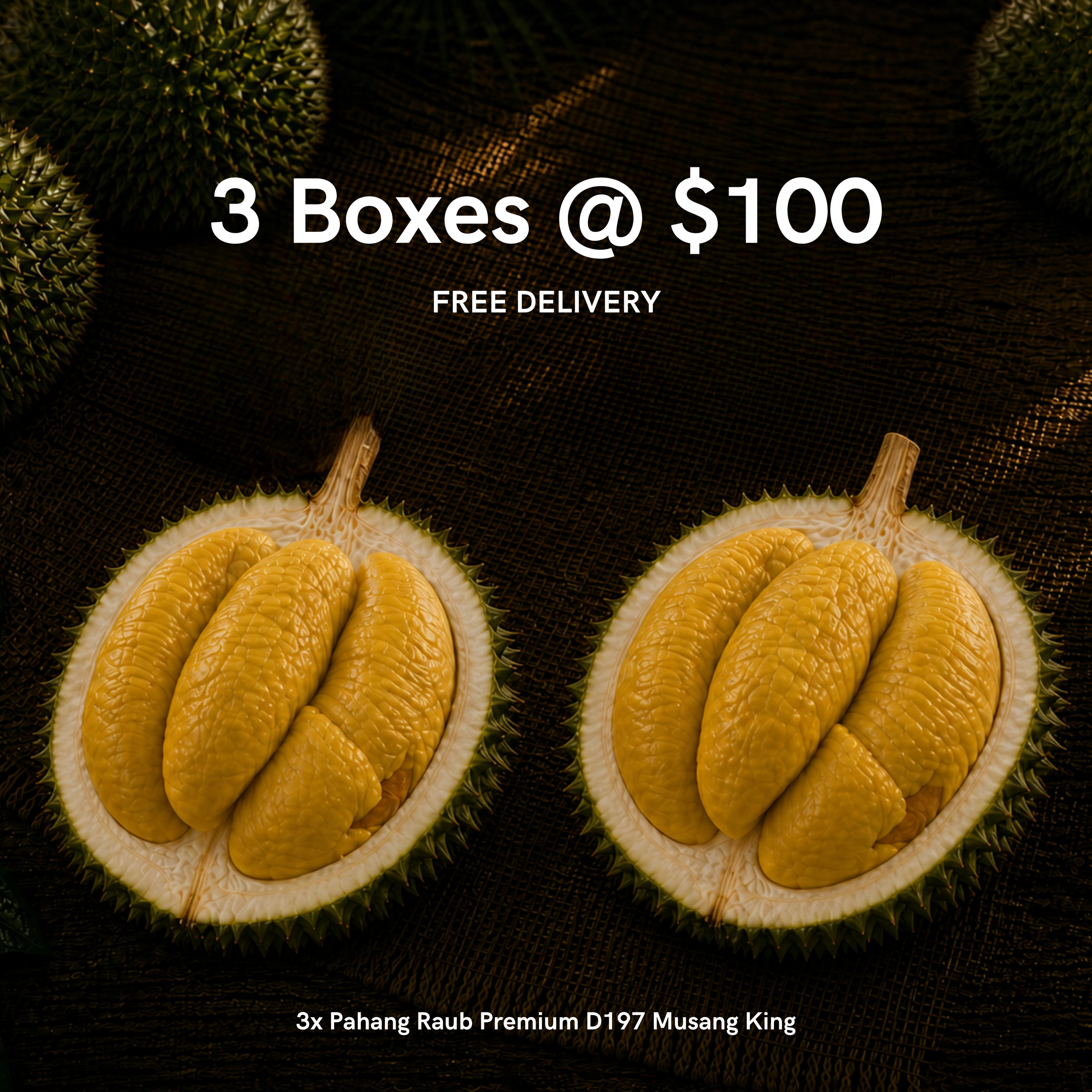 Exclusive Raub Pahang Season Bundle (3x400g D197 Old Tree MSW)