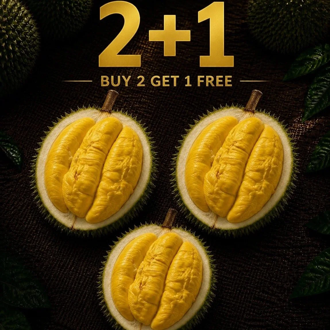 2+%2B+1+MSW+Promo.jpg