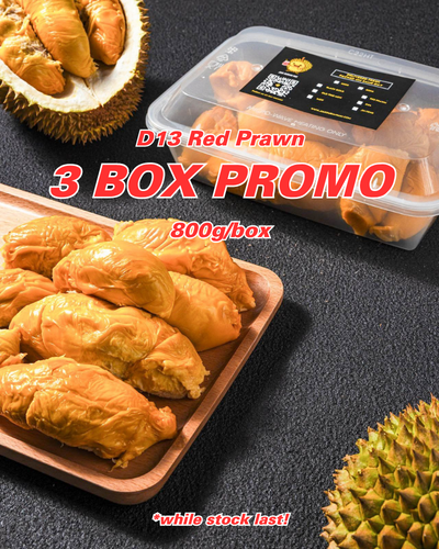 Season Special Premium D13 Red Prawn/Udang Merah Bundle