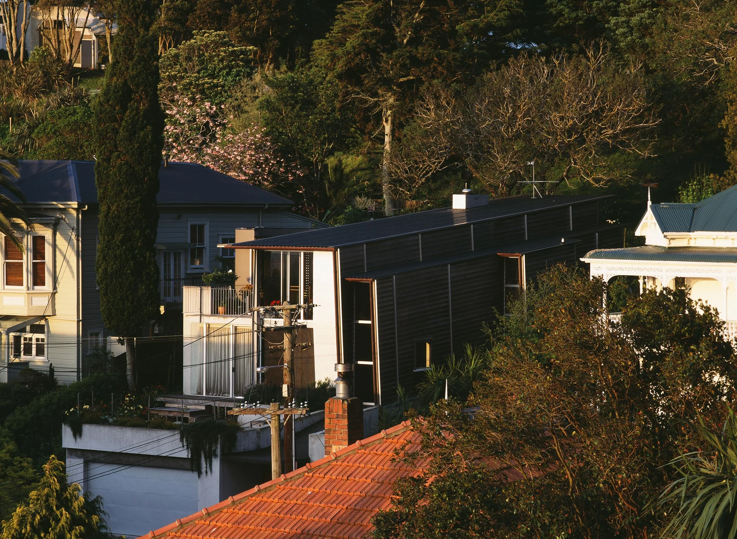 Hillside House — ASC Architects
