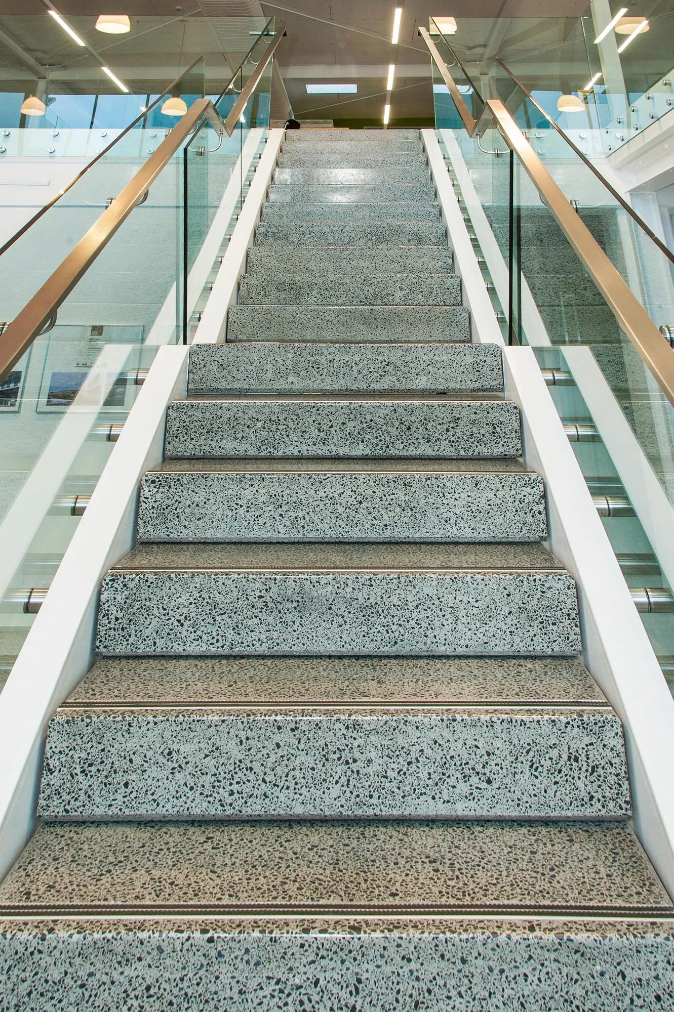ASC Offices — ASC Architects