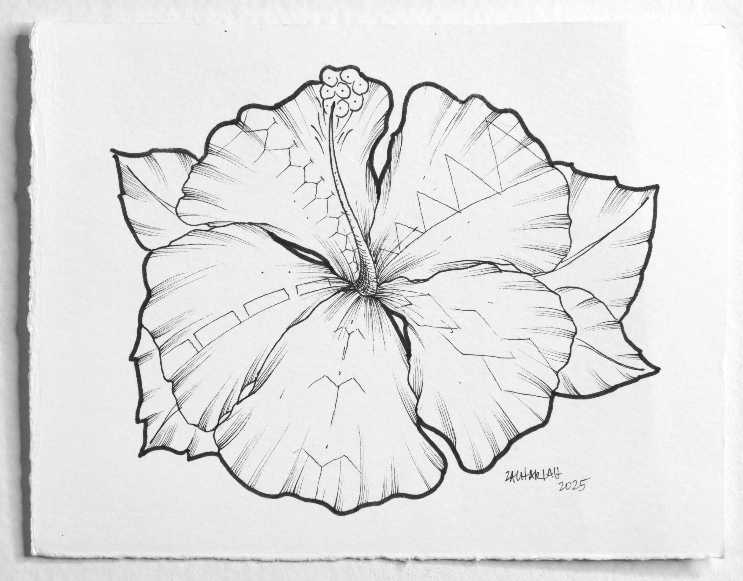 Island Flower