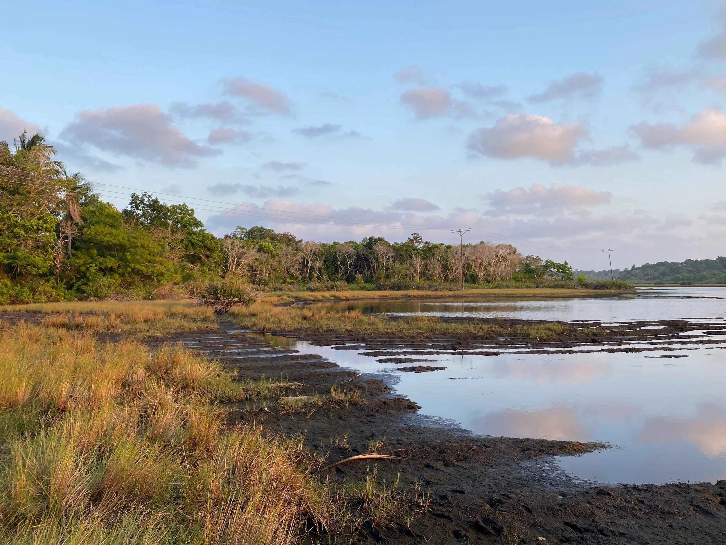 Makangale Wetland &amp; Ngezi Forest