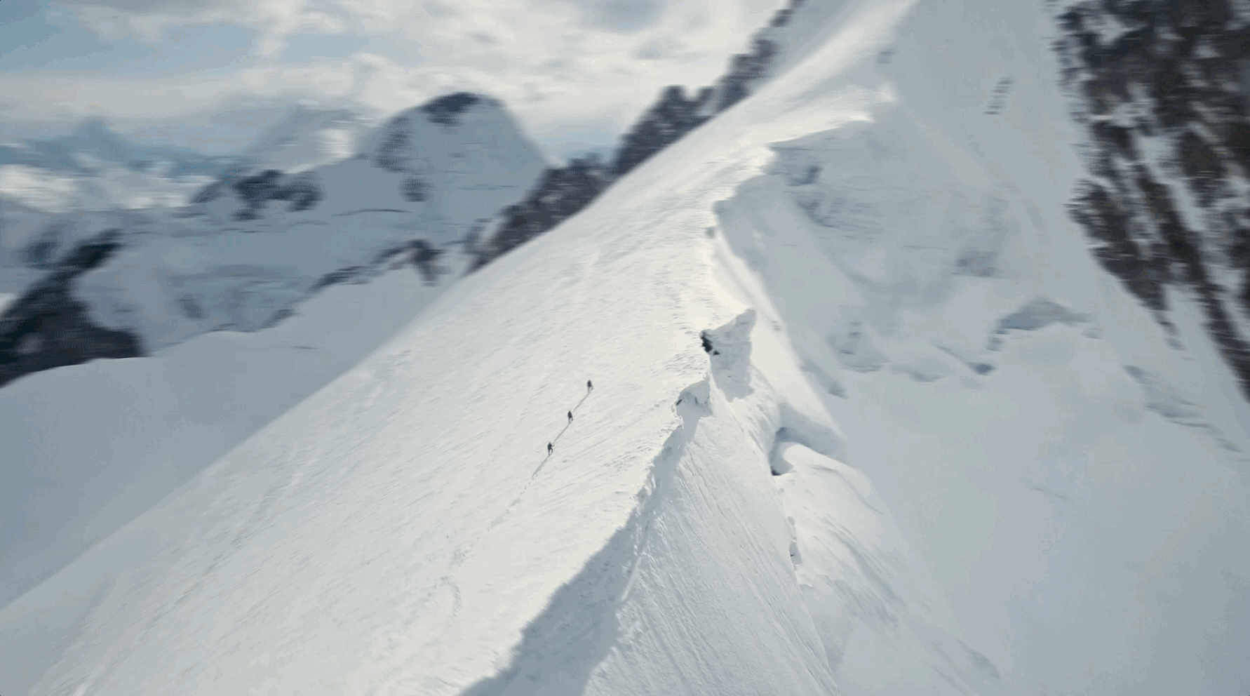gif4.gif