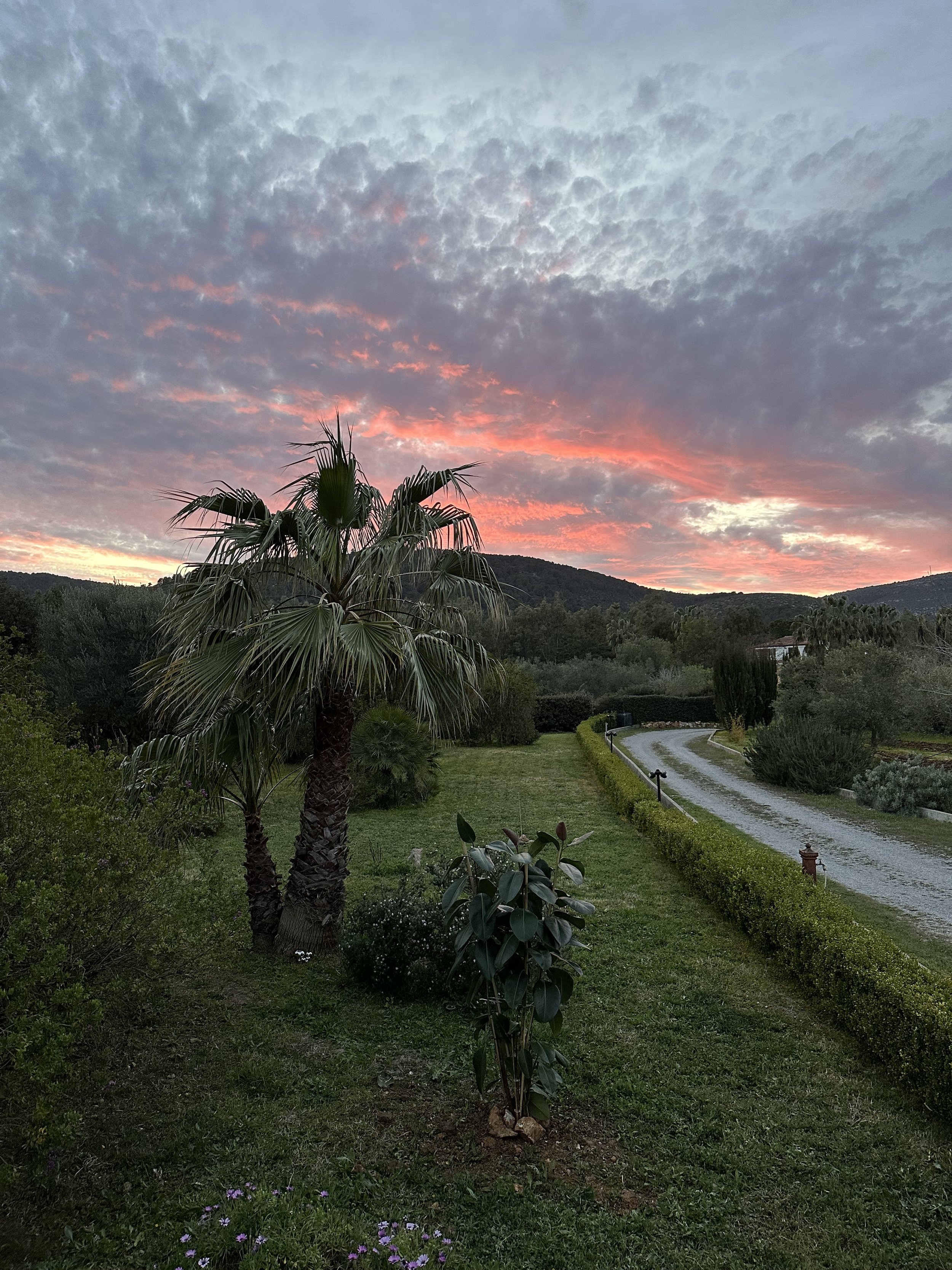 What is an ADHD Coach?