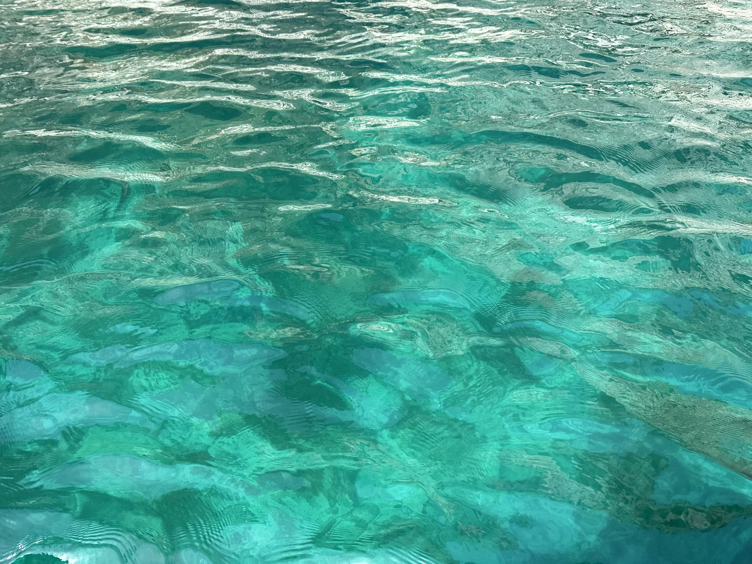 What  is an Ed Therapist?