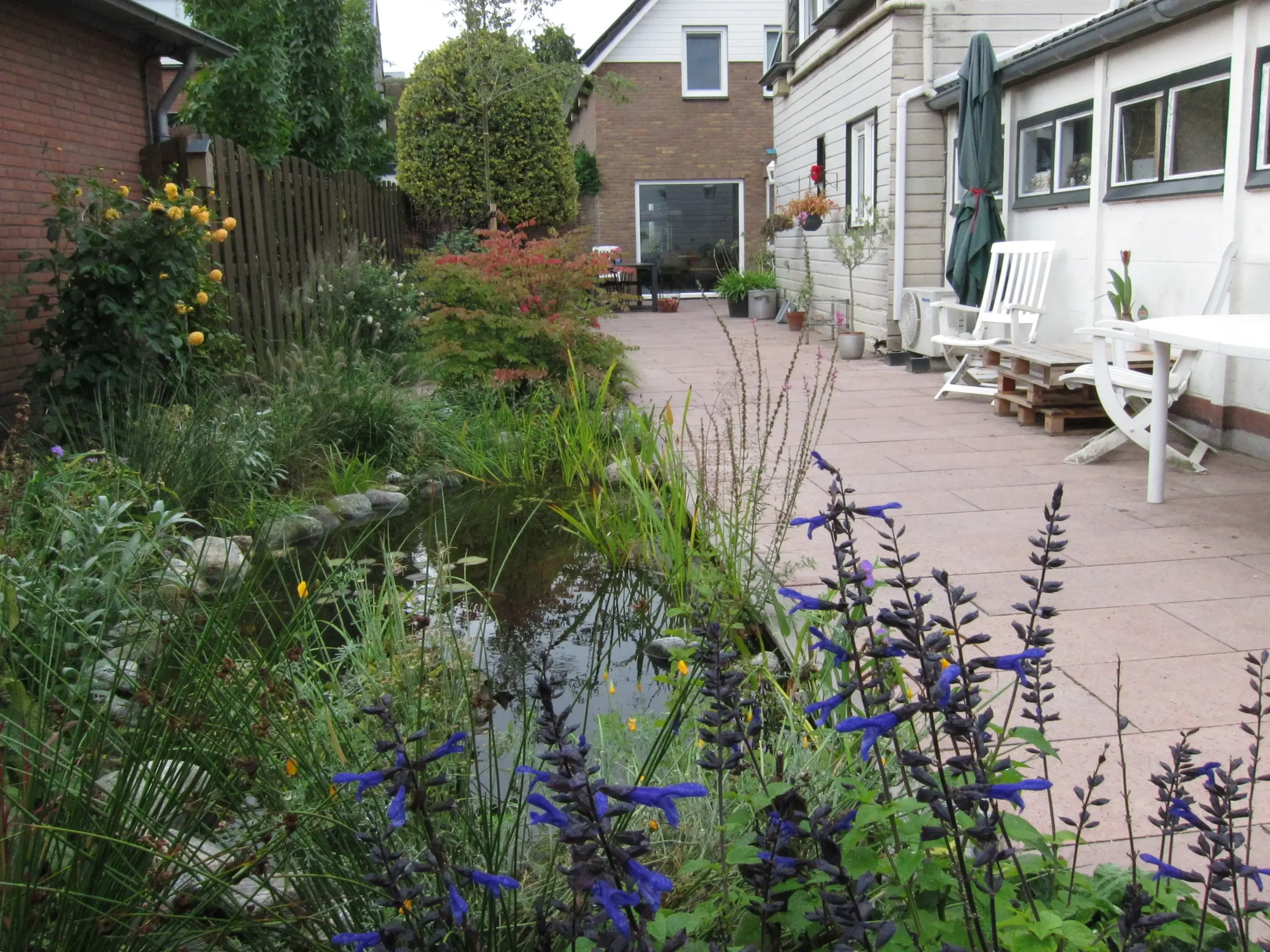 Landelijke tuin in Driebergen