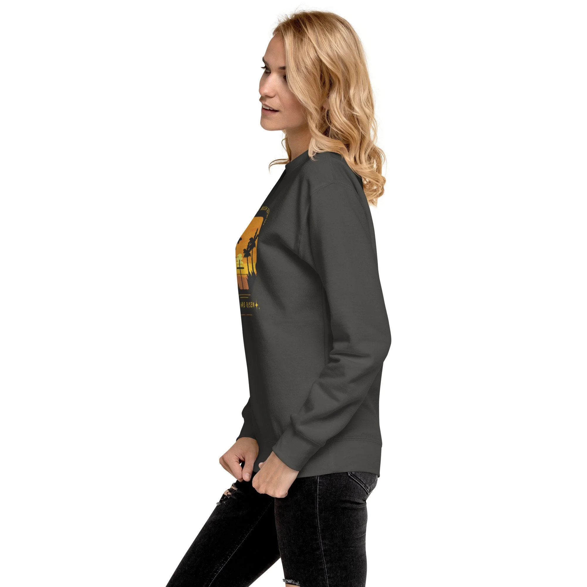 unisex-premium-sweatshirt-vintage-black-left-67e556fcac74c.jpg