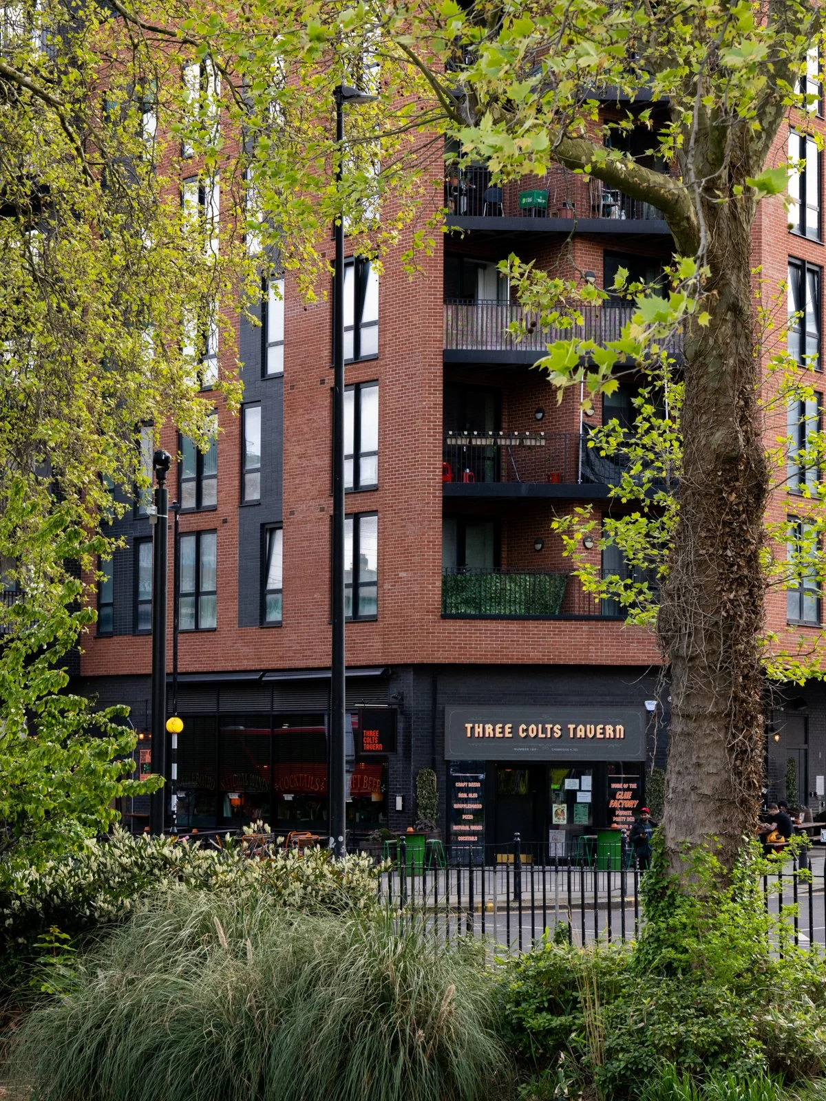 Three Colts Thursday-29.jpg