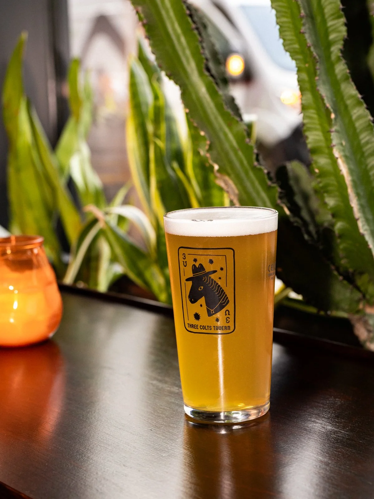 Three Colts Thursday-16.jpg