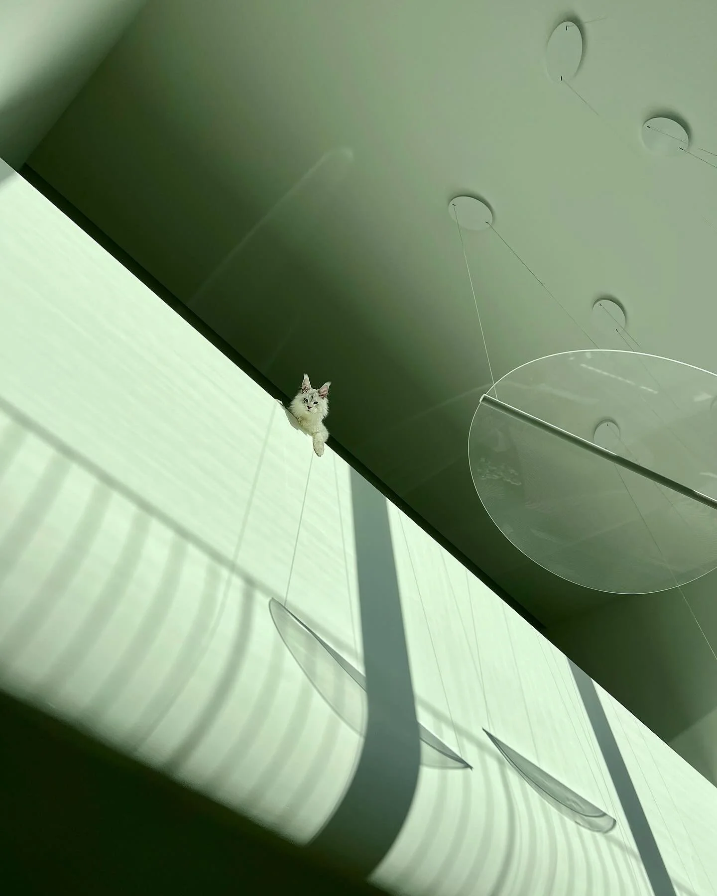 Jeux de lumi&egrave;res dans notre design fra&icirc;chement r&eacute;alis&eacute; #suisse #architecture #interieurs #interiors #design #swissmade