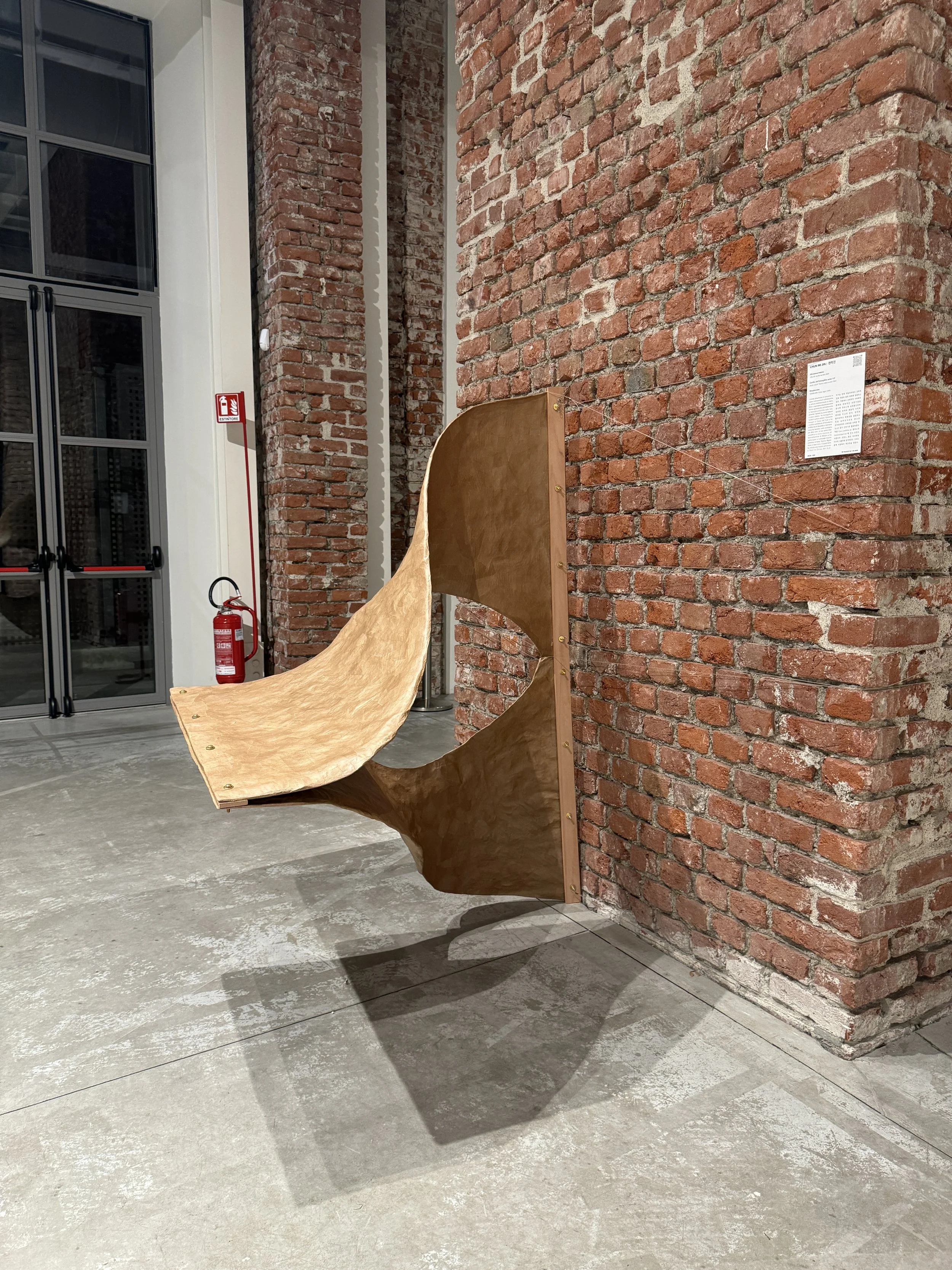 CHUN MI-JIN_Morphorama 4.JPG