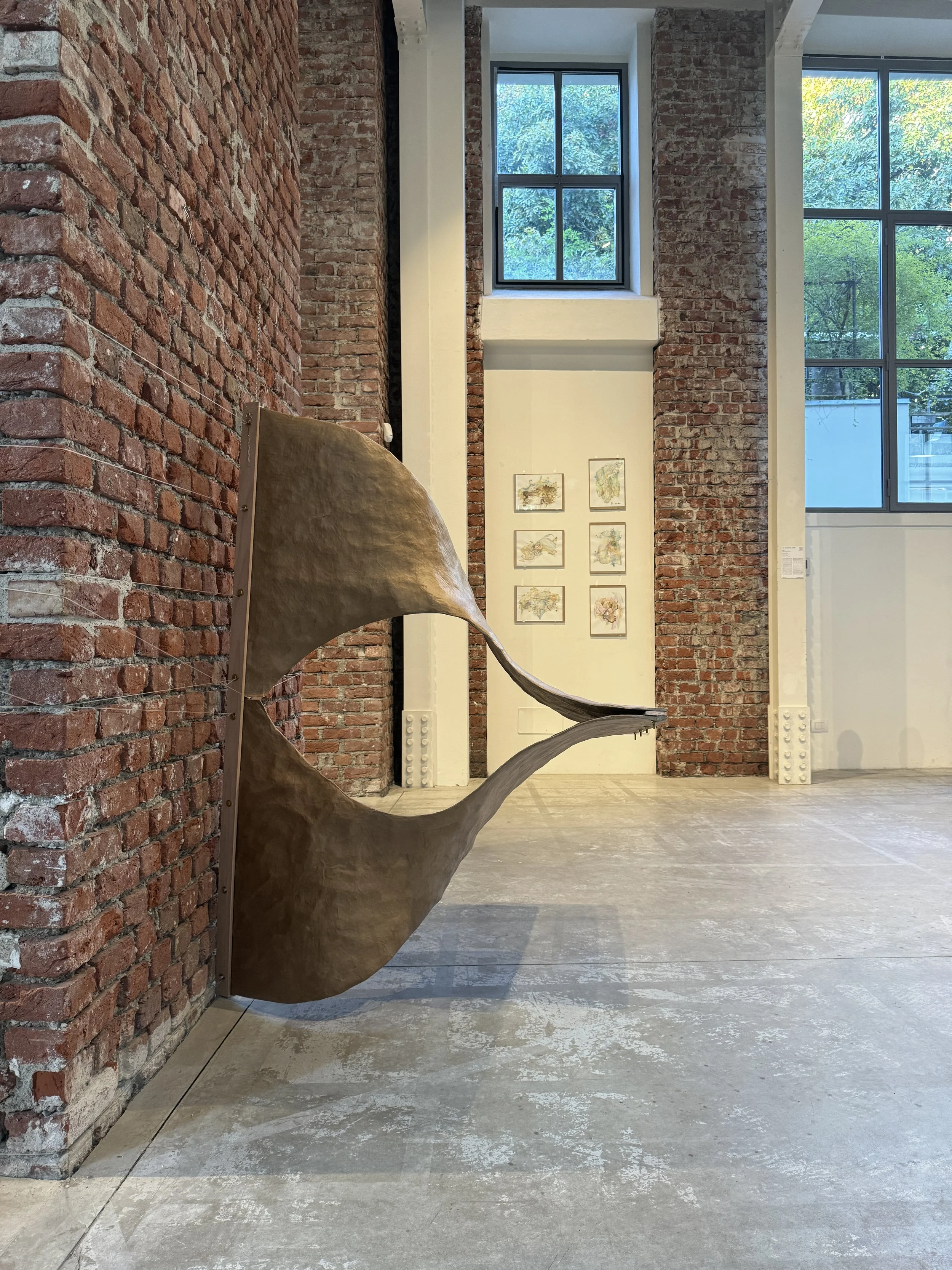 CHUN MI-JIN_Morphorama 3.JPG