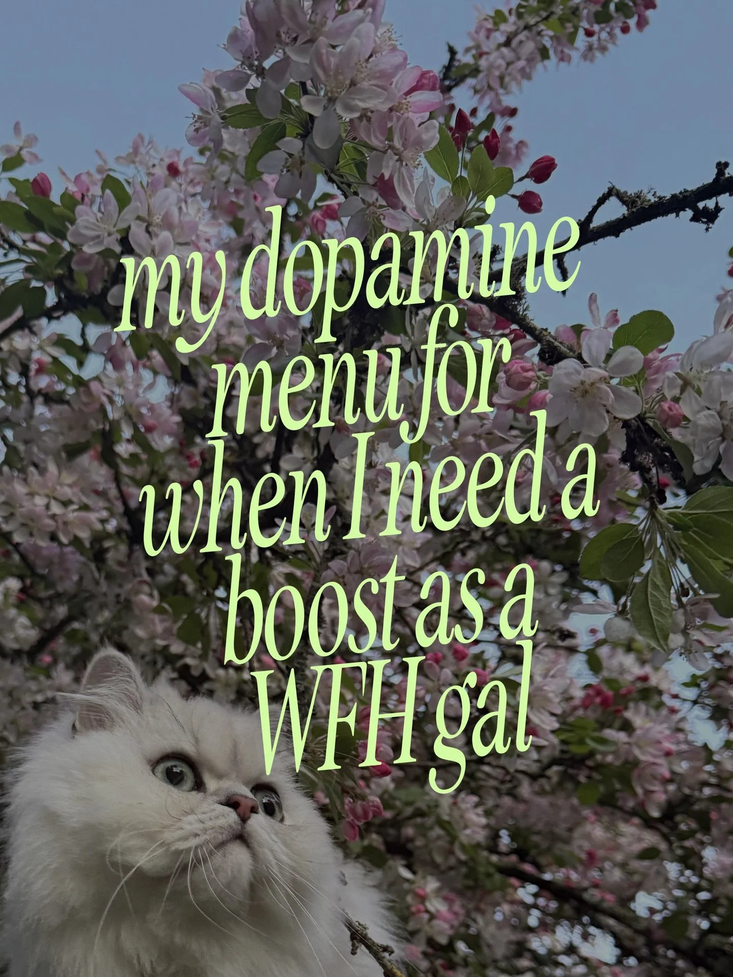 just a girl who loves working from home BUTTTTT also has days where it&rsquo;s so beyond MEHHHHHH

sometimes I loveeee it 

sometimes it&rsquo;s unbelievably boring/ hard to get away from 

butttt I have a few things that help remind me that I am MOR