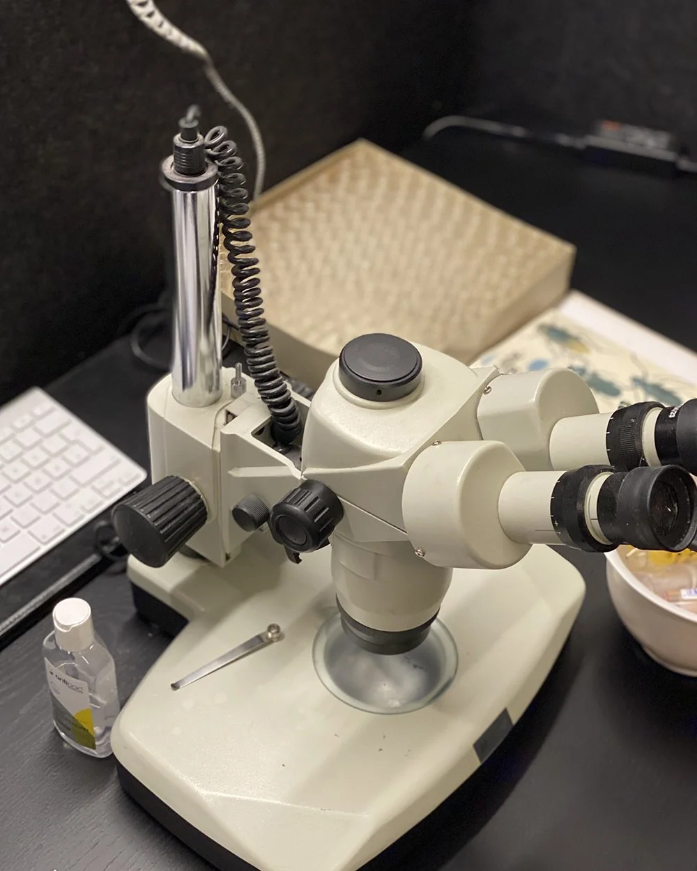 Cytox As, skadedyrbekjempelse i Bergen og Vestlandet. Muggsopp, analyser, muggsoppsanering.