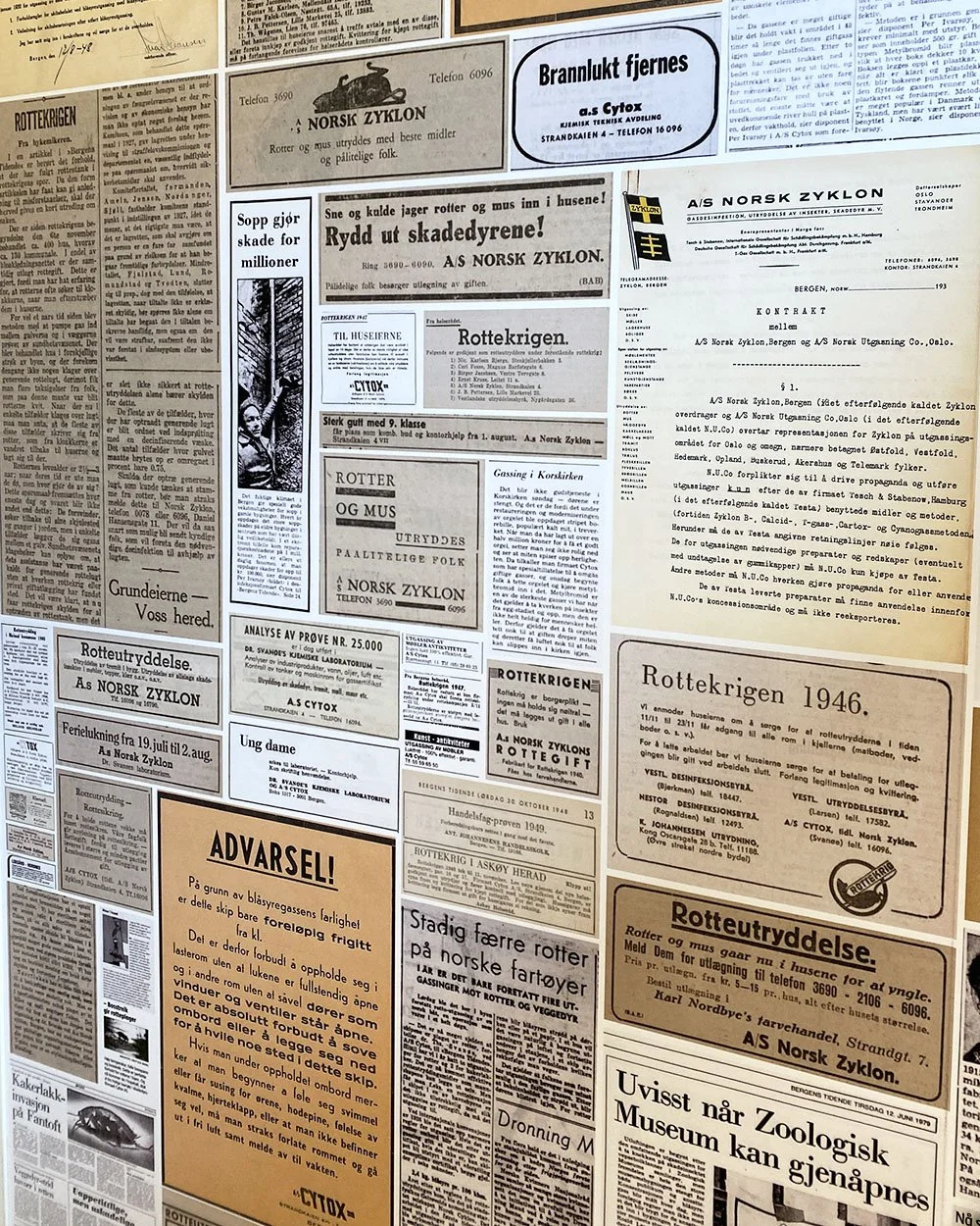 Cytox AS, Bergen, en ren problemløser siden 1927. Skadedyrkontroll, soppskader, byngingskontroll.