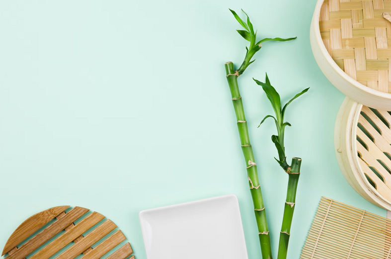 Discover the EcoFriendly Bamboo Viscose — Sustainable Ways