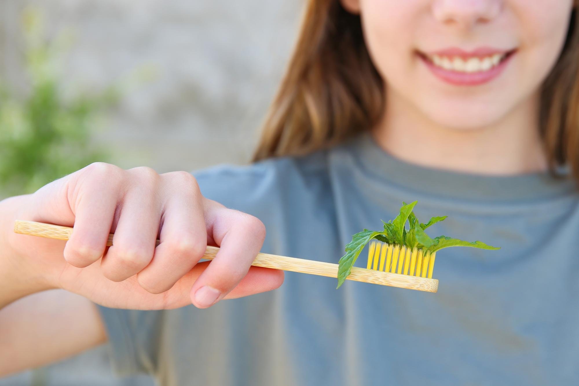 Sustainable toothbrush Brushing for a greener future — Sustainable Ways