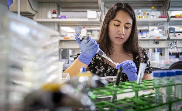 NMSU students work alongside renowned cancer researchers in Seattle