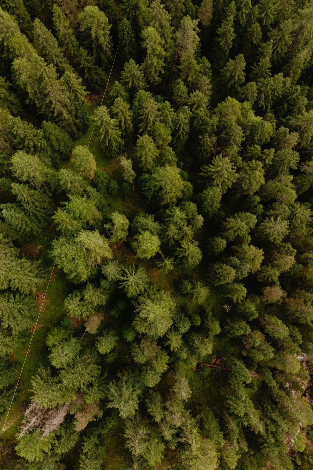 20250904 - Genesis S25 day 2 - © Chantal Arnts-87.jpg