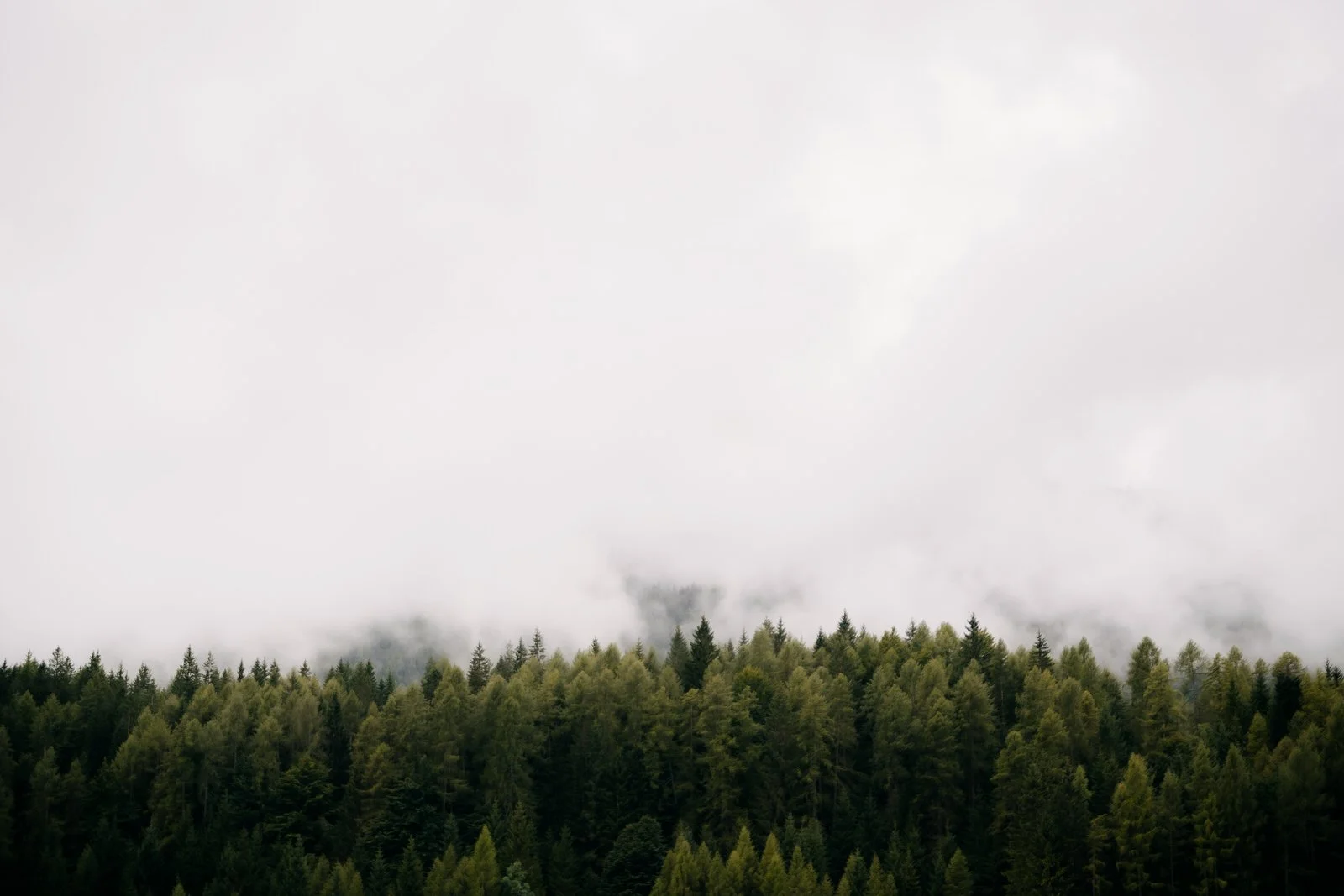 20240906 - Genesis - Mission - © Chantal Arnts-426.jpg