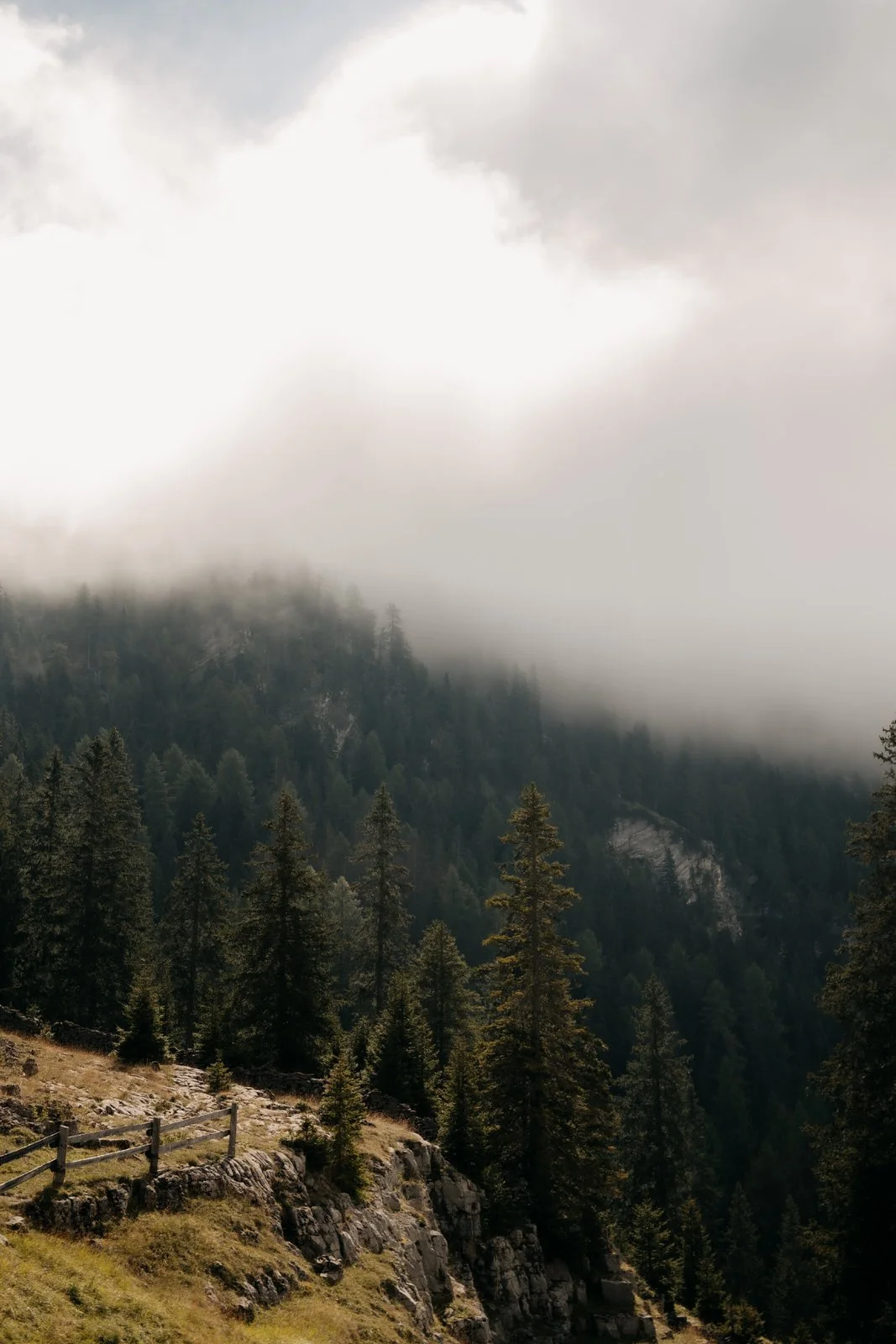 20240906 - Genesis - Mission - © Chantal Arnts-487.jpg