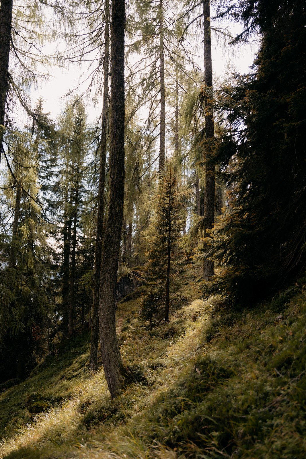 20240906 - Genesis - Mission - © Chantal Arnts-549.jpg