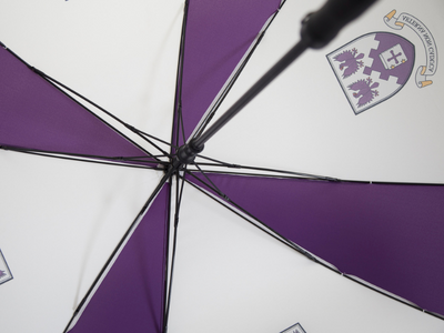 fibreglass frame.png