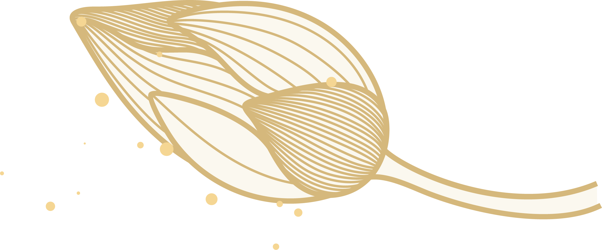 Mental Health Therapies Ontario - Lotus Counselling Services — Lotus